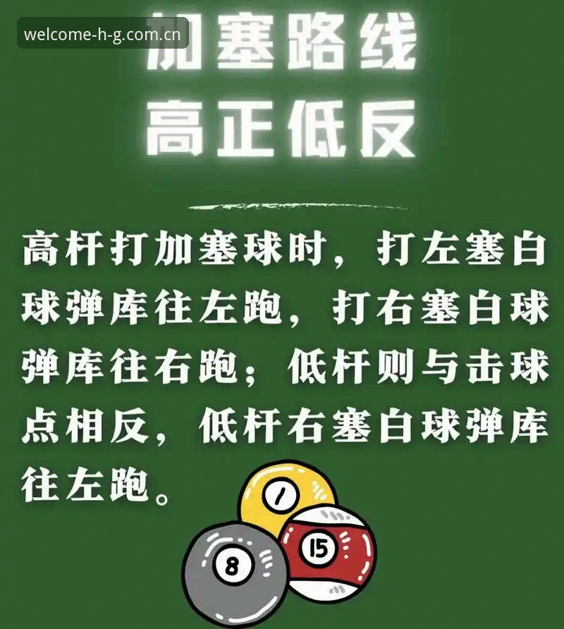 皇冠体育平台使用的5个实用技巧与完整指南