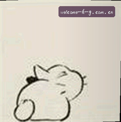 赵阳